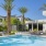 a swimming pool with palm trees